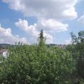 Webcam_20200816-140000