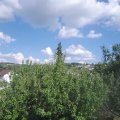 Webcam_20200816-164500