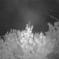 Webcam_20200817-050000