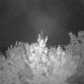 Webcam_20200817-053000