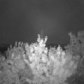 Webcam_20200817-054500