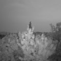 Webcam_20200817-060000