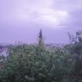 Webcam_20200817-061500