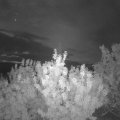 Webcam_20200818-051500