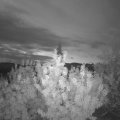 Webcam_20200818-053000