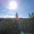 Webcam_20200818-091500