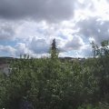 Webcam_20200818-113000