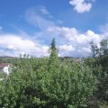 Webcam_20200818-154500
