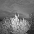 Webcam_20200818-211500