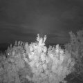 Webcam_20200818-213000