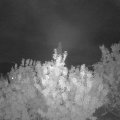 Webcam_20200818-214500