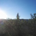 Webcam_20200819-073000