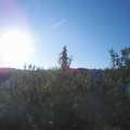 Webcam_20200819-080000