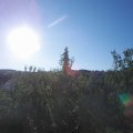 Webcam_20200819-081500