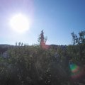 Webcam_20200819-083000