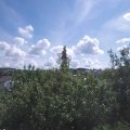 Webcam_20200819-120000