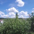 Webcam_20200819-143000