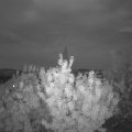 Webcam_20200819-211500
