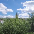Webcam_20200820-131500