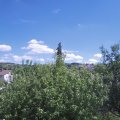 Webcam_20200820-134500