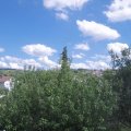 Webcam_20200820-150000