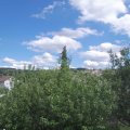 Webcam_20200820-151500