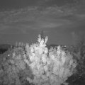Webcam_20200820-211500