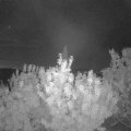 Webcam_20200821-050000