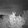 Webcam_20200821-051500