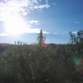 Webcam_20200821-081500