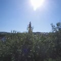Webcam_20200821-101500