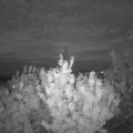 Webcam_20200821-211500