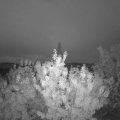 Webcam_20200822-054500