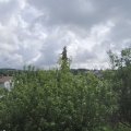 Webcam_20200822-130000