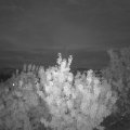 Webcam_20200822-211500