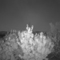 Webcam_20200823-211500