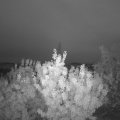 Webcam_20200824-054500