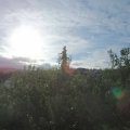 Webcam_20200824-081500