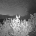 Webcam_20200825-053000