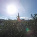 Webcam_20200825-084500