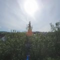 Webcam_20200825-094500