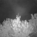 Webcam_20200828-050000