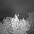 Webcam_20200828-054500