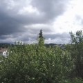 Webcam_20200828-130000