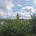 Webcam_20200828-131500