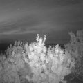 Webcam_20200829-054500
