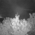 Webcam_20200901-053000