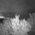 Webcam_20200901-054500