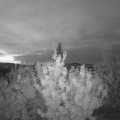 Webcam_20200901-060000