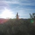 Webcam_20200901-080000